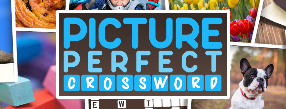 Picture Perfect Crossword AppyNation